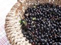 Blackcurrants Fresh Frozen 450gr