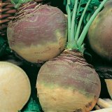 Turnips Fresh per Kg