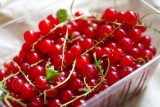 Redcurrants Frozen 450gr