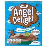 Angel Delight Chocolate Mint Flavour 59g