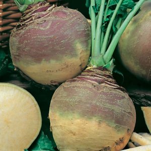Turnips Fresh per Kg