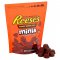 Reese's Peanut Butter Mini Cups 226g