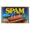 Spam Chopped Ham 200g